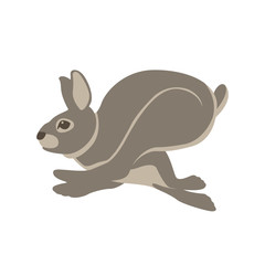  
hare vector illustration style Flat 