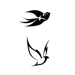 Fototapeta premium Black bird