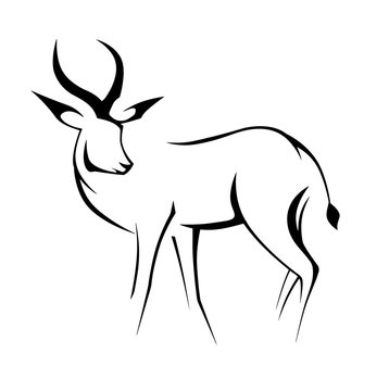 black contour deer linear image