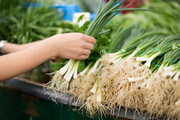 buying bunches of spring onions on stall.