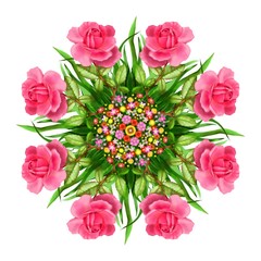 Róże i polne kwiaty - kalejdoskop