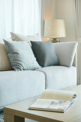 Pillows on sofa and magazine on center table in modern living room