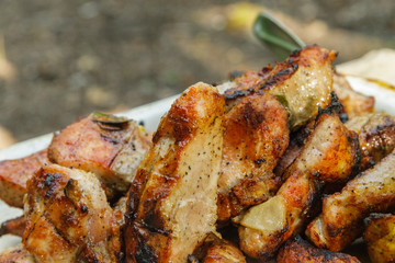 healthy shish kebab - grilled bbq chicken turkish meat