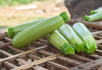 Food Vegetables Zucchini