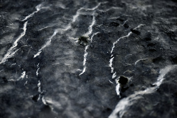 isfigur, vackra istappar, sverige