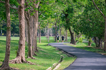 walking path and bike trail in public park.