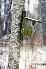 fågelholk, dalarna, sverige