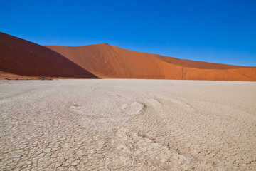 Dead Vlei, Sossus Dunes, Namibia