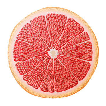 Grapefruit slice close up. Section of grapefruit fruit isolated on white background. Qualitative vector illustration about fruits, agriculture, cooking, food, gastronomy, etc