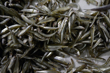 fisk, saluhall, grekland