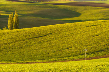 Moravian Tuscany is called a corrugated landscape near Kyjov, Moravia, Czech Republic