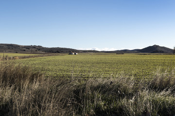 Fototapeta na wymiar Campos de cultivo entre matorrales y colinas.