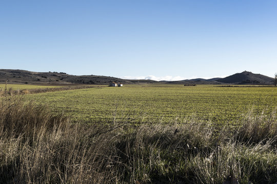 Campos de cultivo entre matorrales y colinas.
