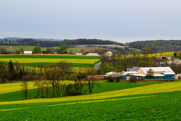 Obraz premium Pennsylvania countryside and farms in spring near Kutztown. Fields just starting to be plowed.
