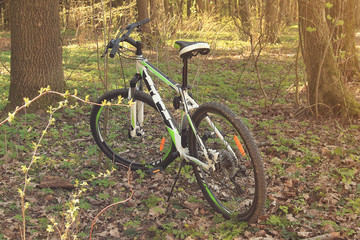 Fototapeta na wymiar bicycle, spring, greenery, sun bike in the woods in the open air close-up.