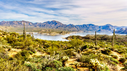 Lake Bartlett and the surrounding semi desert of Tonto National Forest in Arizona, United States