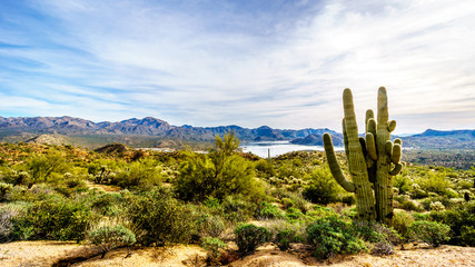 Lake Bartlett and the surrounding semi desert of Tonto National Forest in Arizona, United States