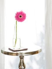 Single gerbera