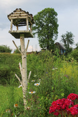 Wooden birdhouse in Carpathians, Ukraine