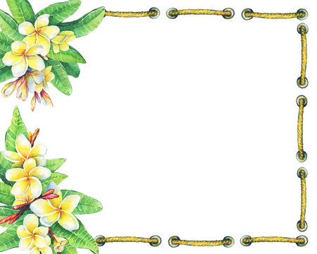 Luau Border Images – Browse 210 Stock Photos, Vectors, and Video | Adobe  Stock
