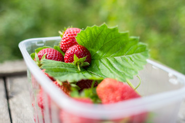 Fresh strawberries on wooden table