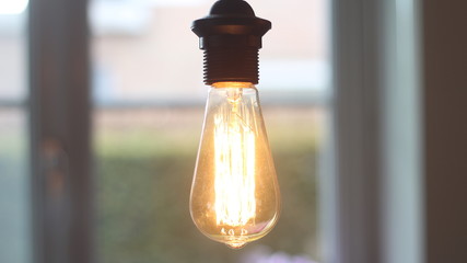 Warm Glow of Vintage Edison Bulb
