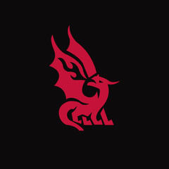 Search photos dragon