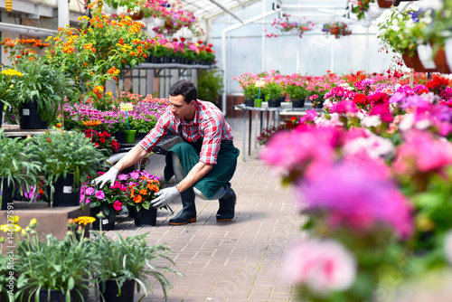 "Gewächshaus mit bunten Blumen Gärtner arbeitet im Gartencenter