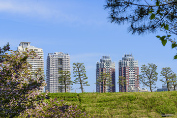 Obraz premium 東京のマンション