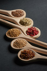 Various of spices in wooden spoons