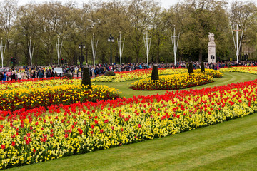 Various floral combinations at Buckingham Palace in London