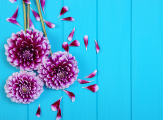  Flowers on blue painted wooden planks.