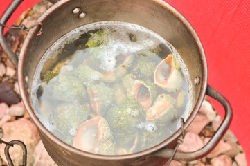 marine molluscs cooking