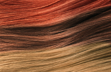 Hair Colors Palette