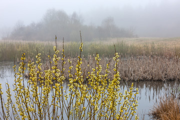 Mazury-wiosenny poranek © Janusz Lipiński