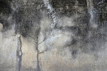 dirty and crack concrete wall with stain of lichen and mold, texure background