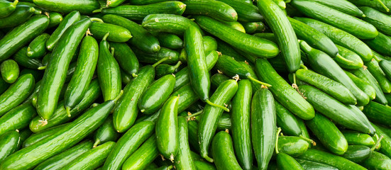 fresh cucumbers. food background