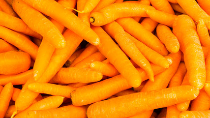 organic food carrot. background