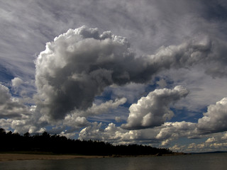 Fototapeta na wymiar moln, norrland, sverige