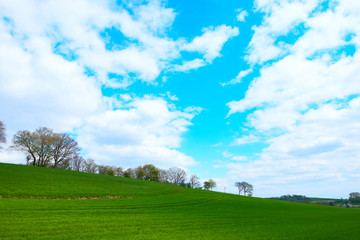 Eifel, Germany, agriculture