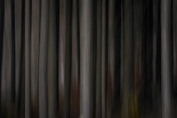 Fototapeta premium Shapes of trees