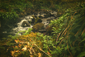 Lake district uk
