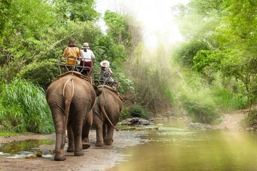  Groepstoeristen om op olifanten in bos Chiang Mai, Noord-Thailand te rijden © rawintanpin