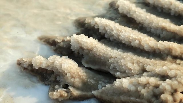 Salt on the shore of Dead Sea in Jordan. White salt deposits of Dead Sea