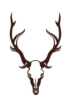 Skull of a deer. Object isolated on white background. Vector illustration.