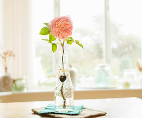 Pink rose on the table