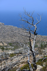 Fototapeta na wymiar medelhavet, karpathos, grekland
