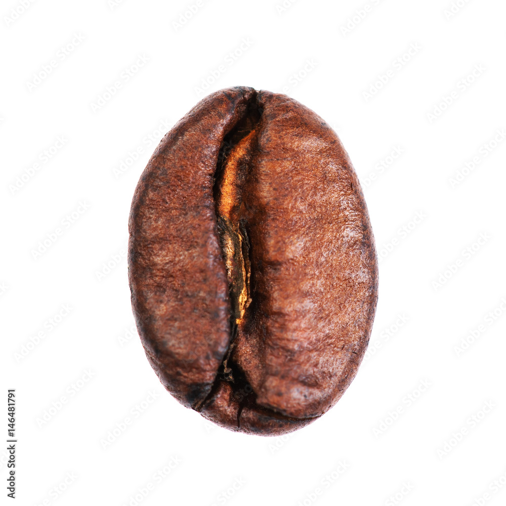 Poster coffee bean macro isolated on white background.