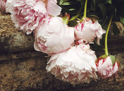 Picture of beautiful bouquet of peonies
