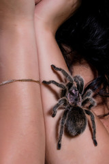 Dangerous tarantula walking around beautiful woman's body.